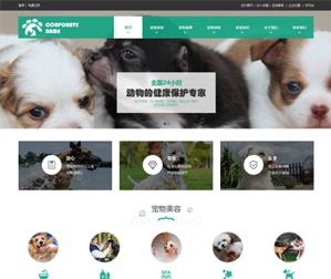 动物公司网站建设_W9008